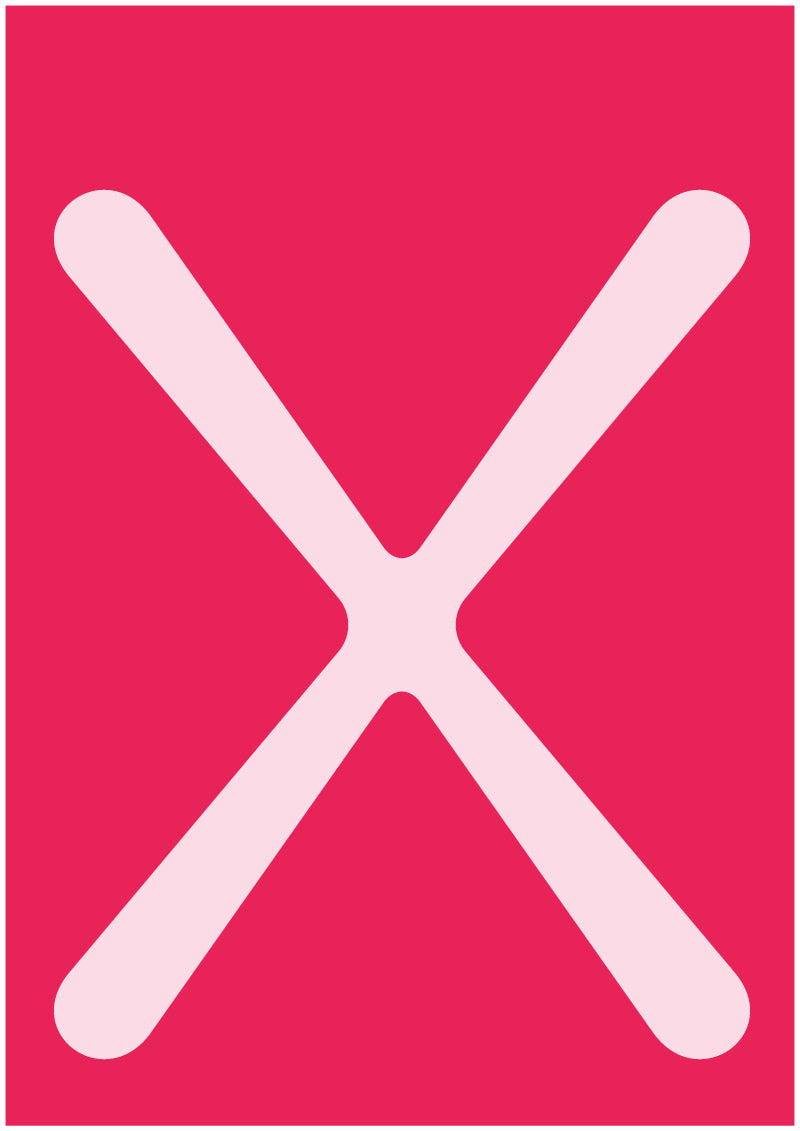 Phloem - X