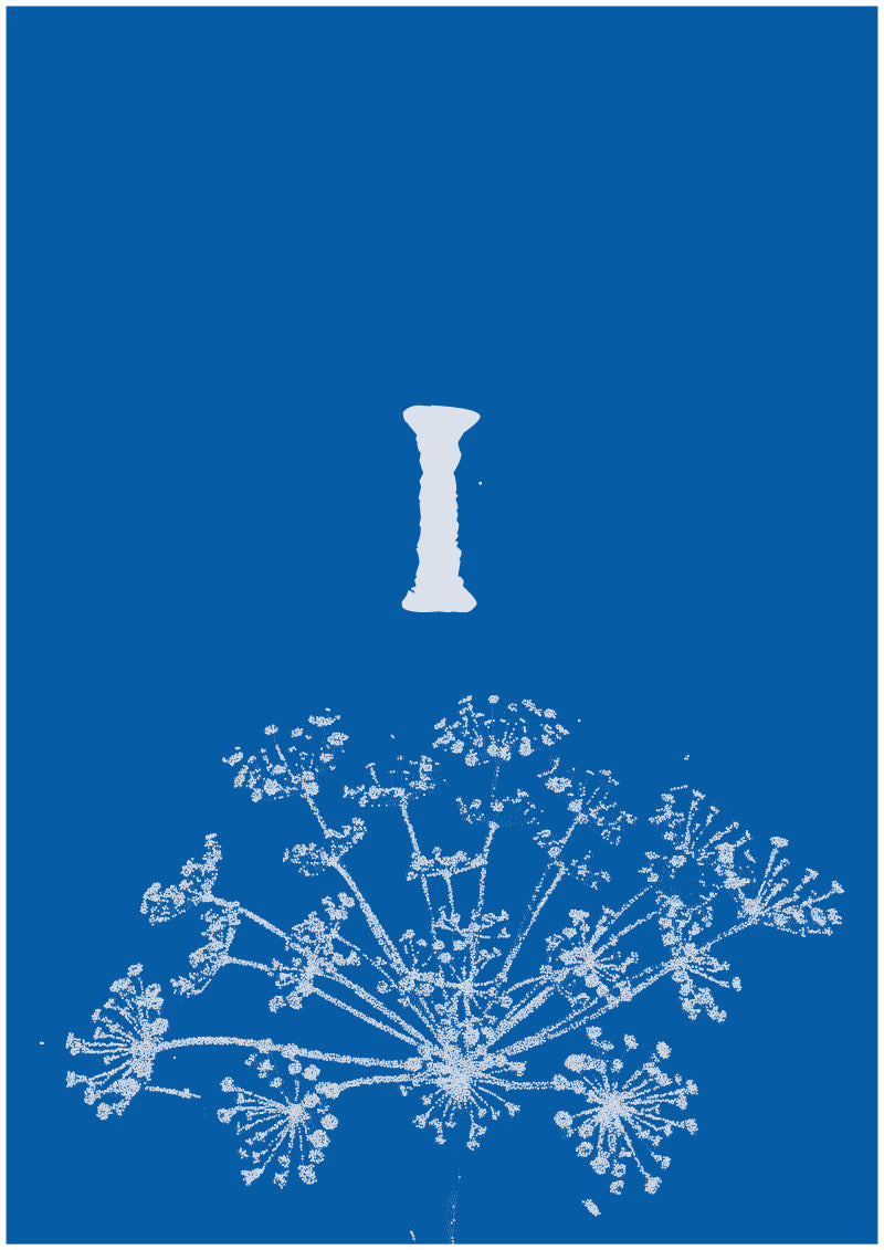 Umbel - 1