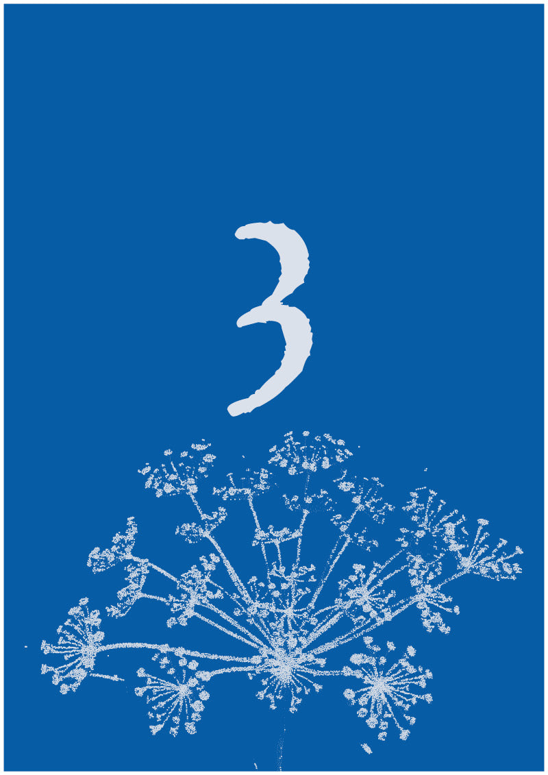 Umbel - 3