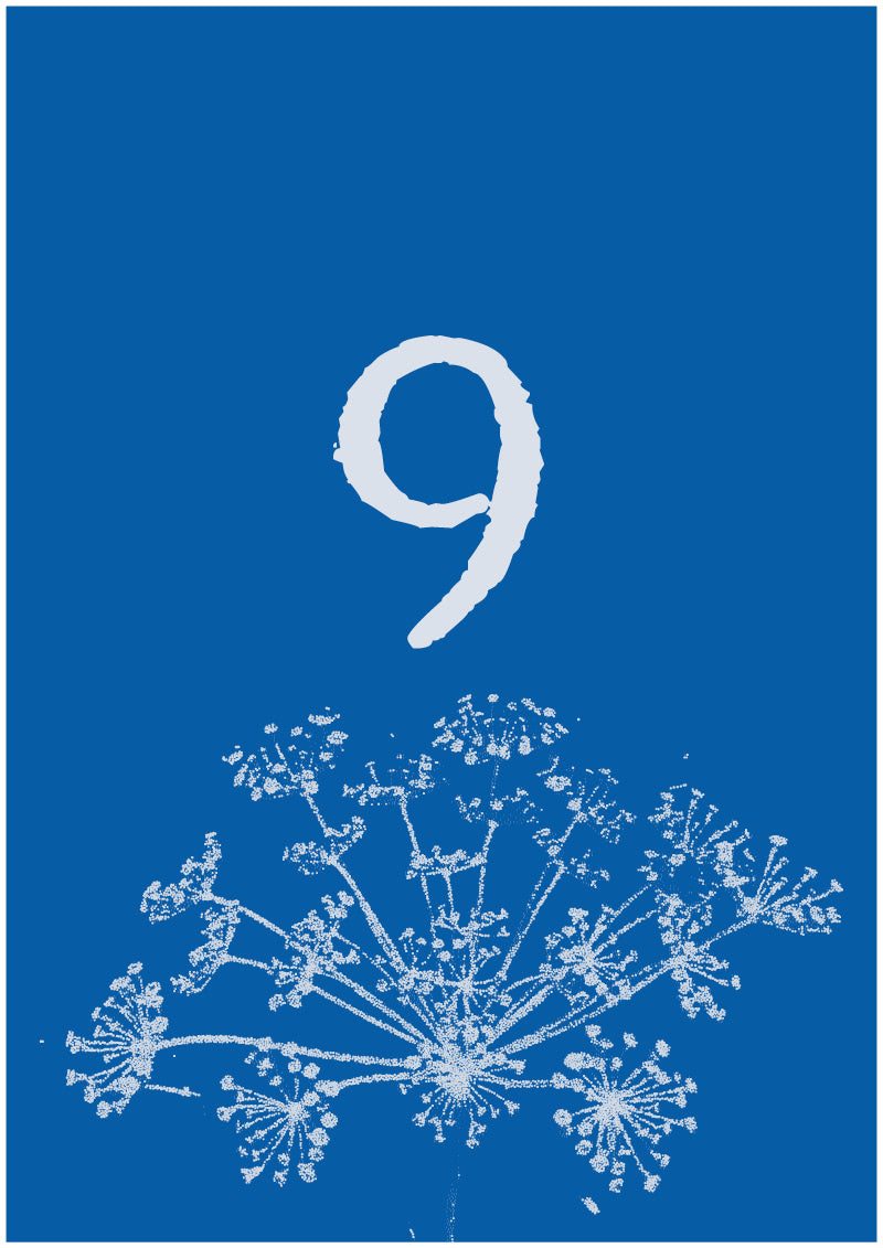 Umbel - 9
