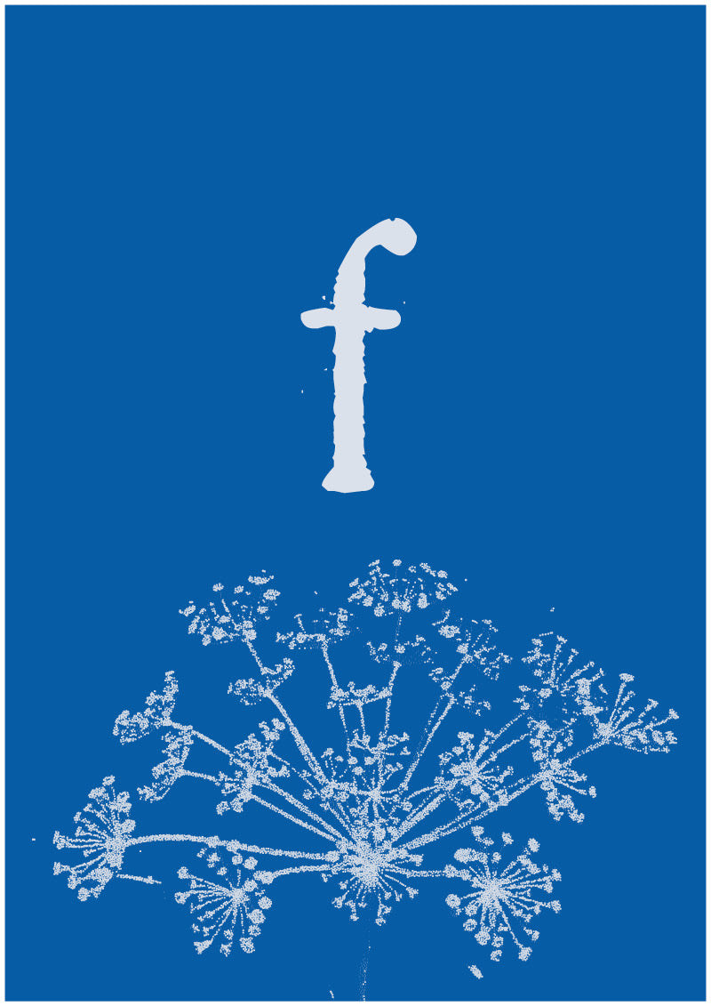 Umbel - F
