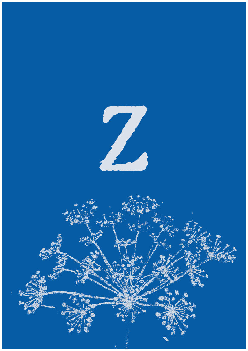 Umbel - Z