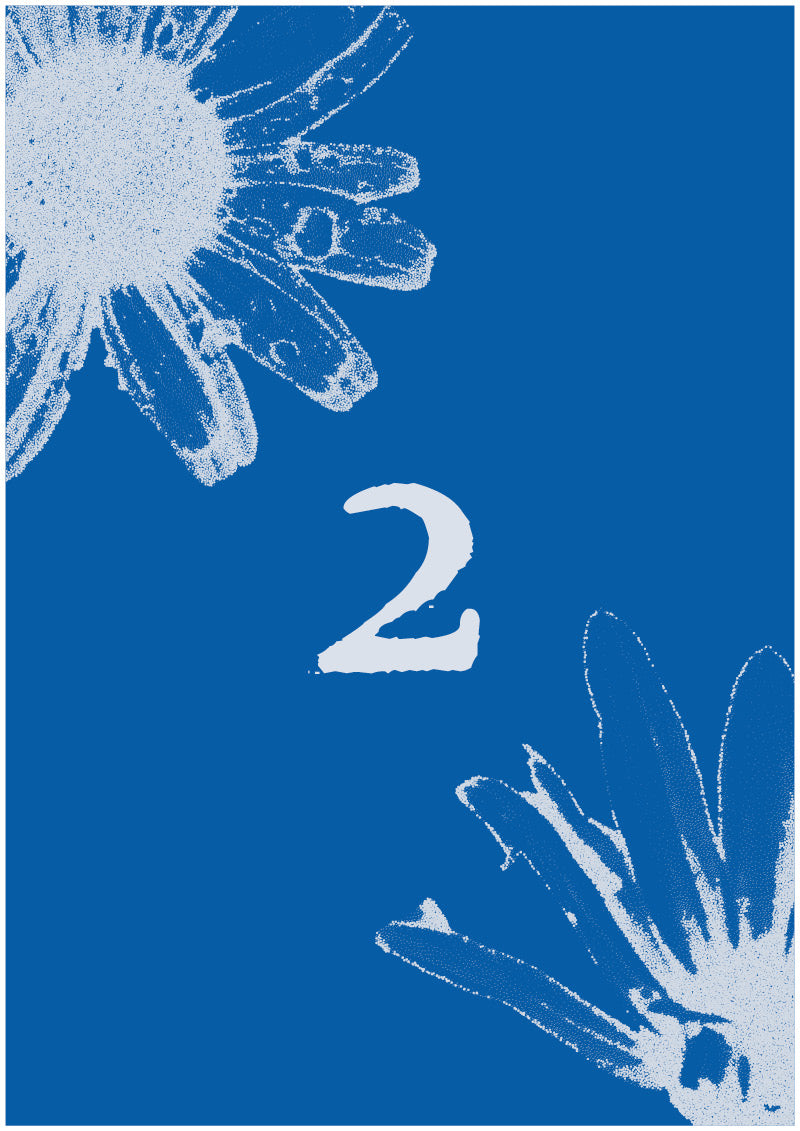 Aster - 2