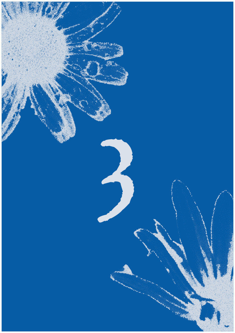 Aster - 3