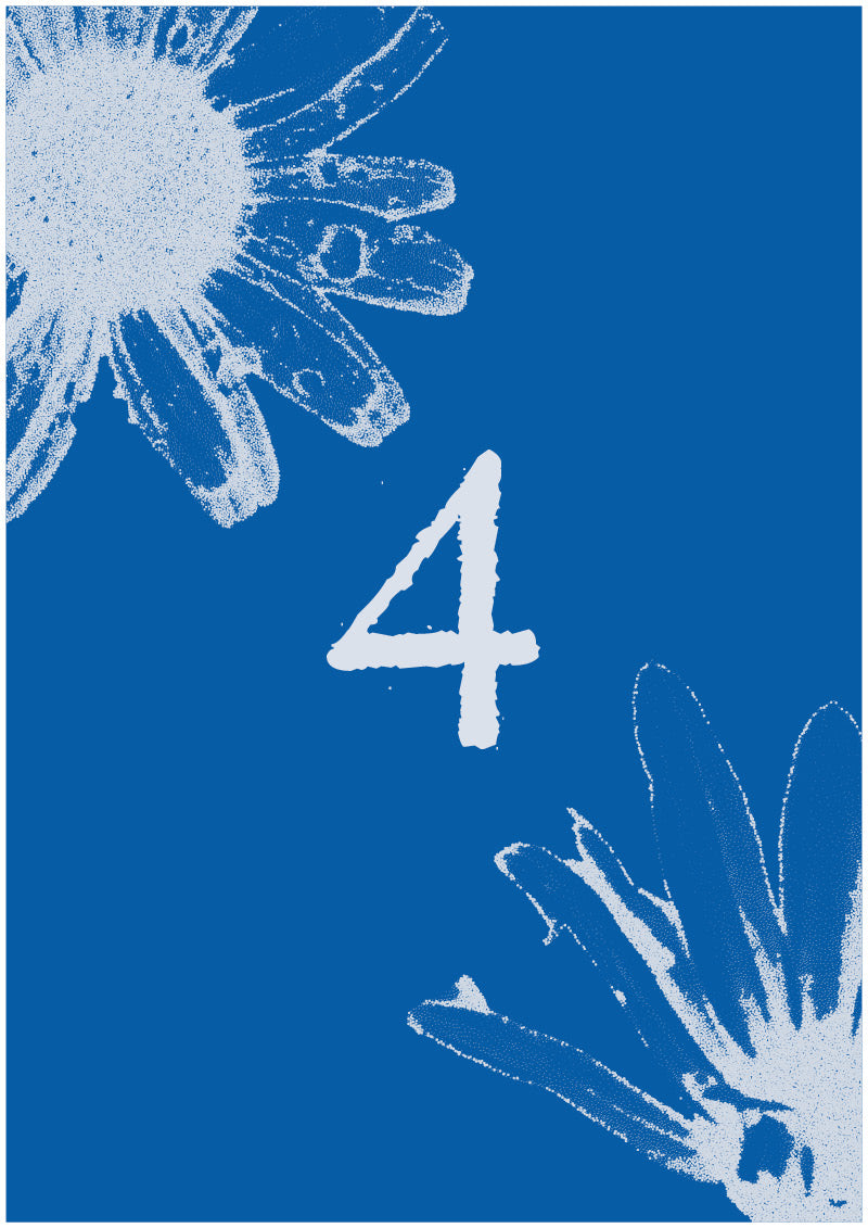 Aster - 4
