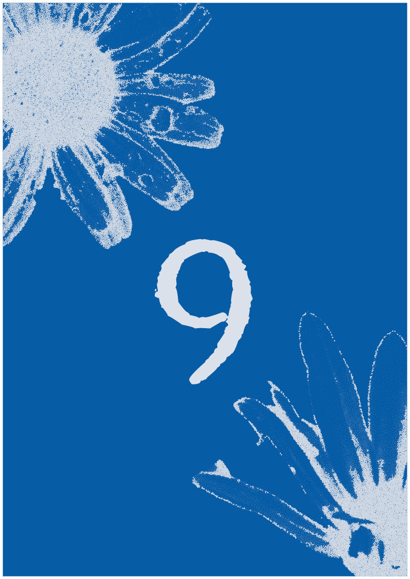 Aster - 9