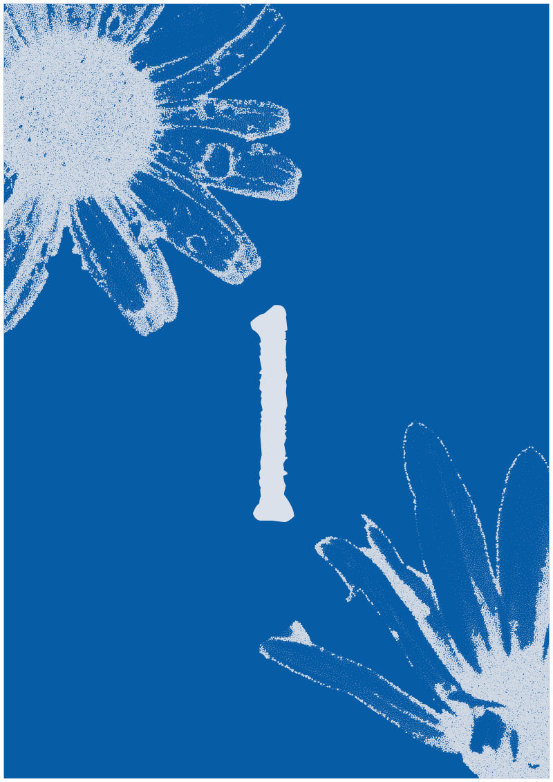 Aster - L
