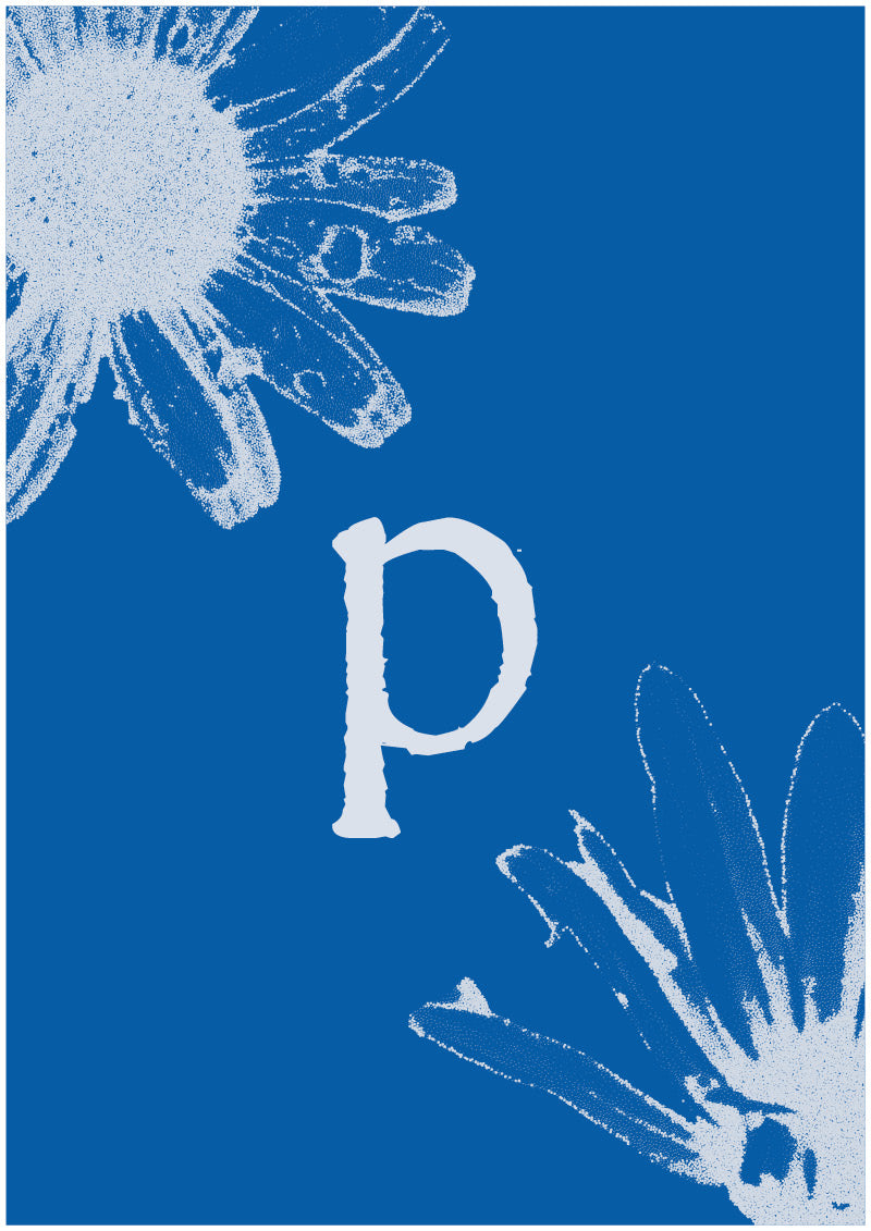 Aster - P