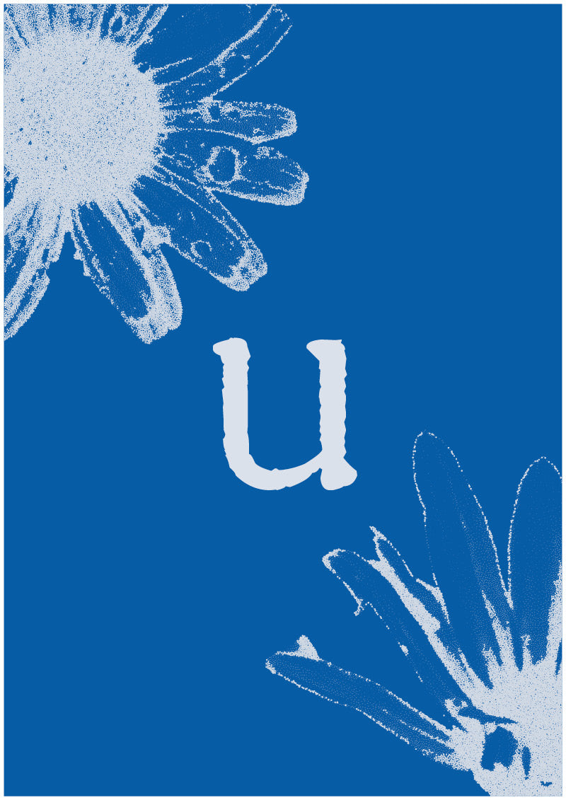 Aster - U