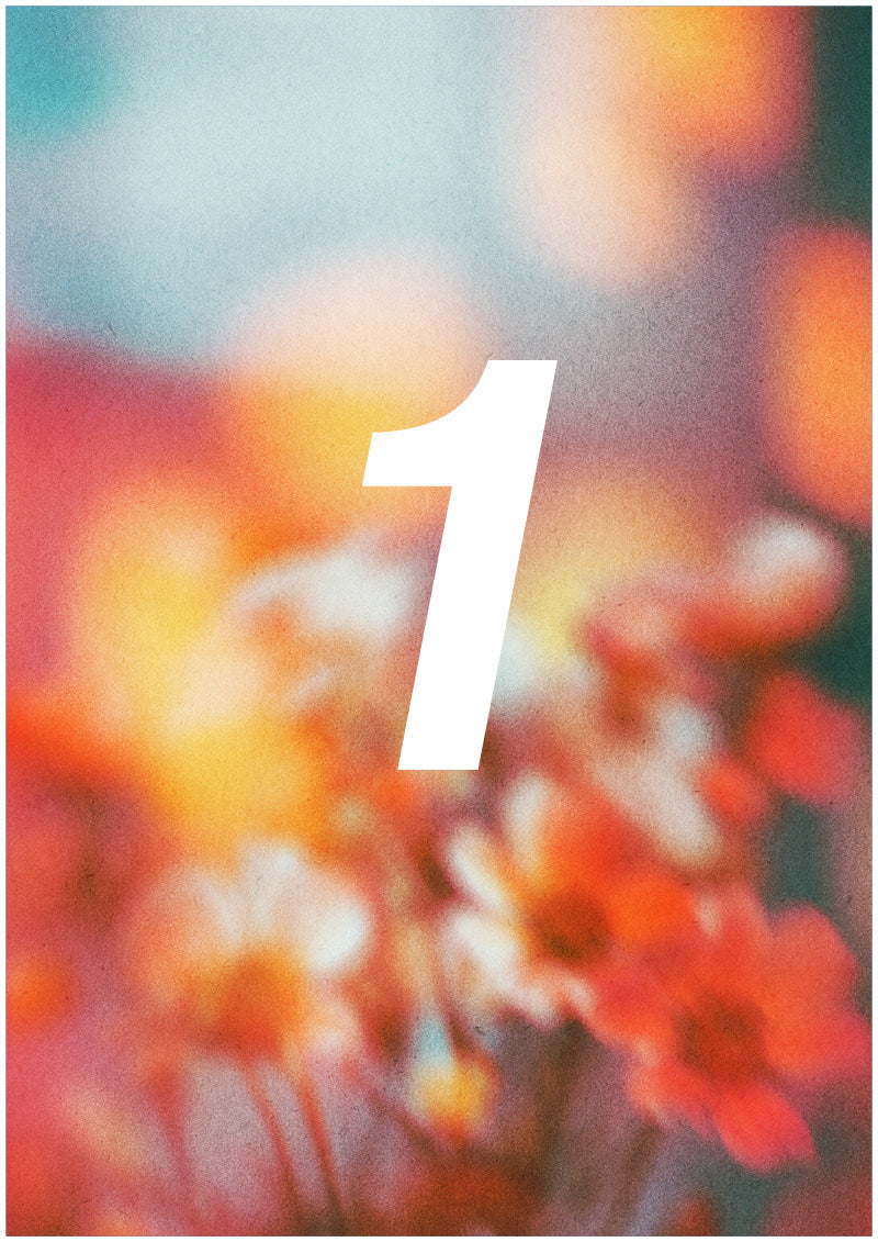 Bloom - 1