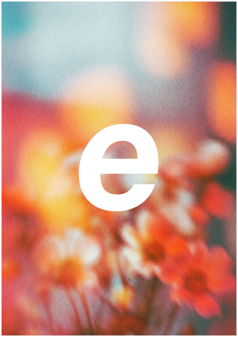 Bloom - E