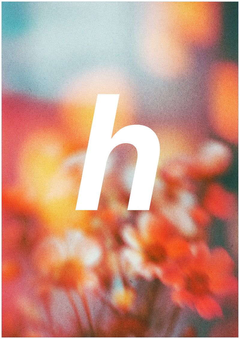 Bloom - H