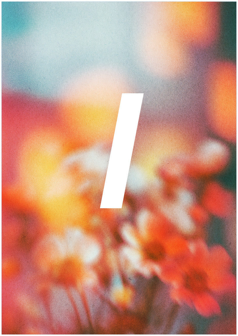 Bloom - L