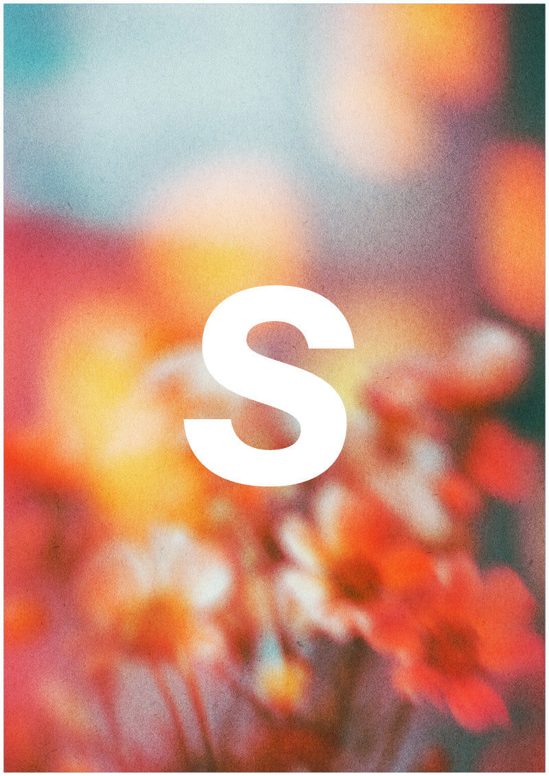 Bloom - S