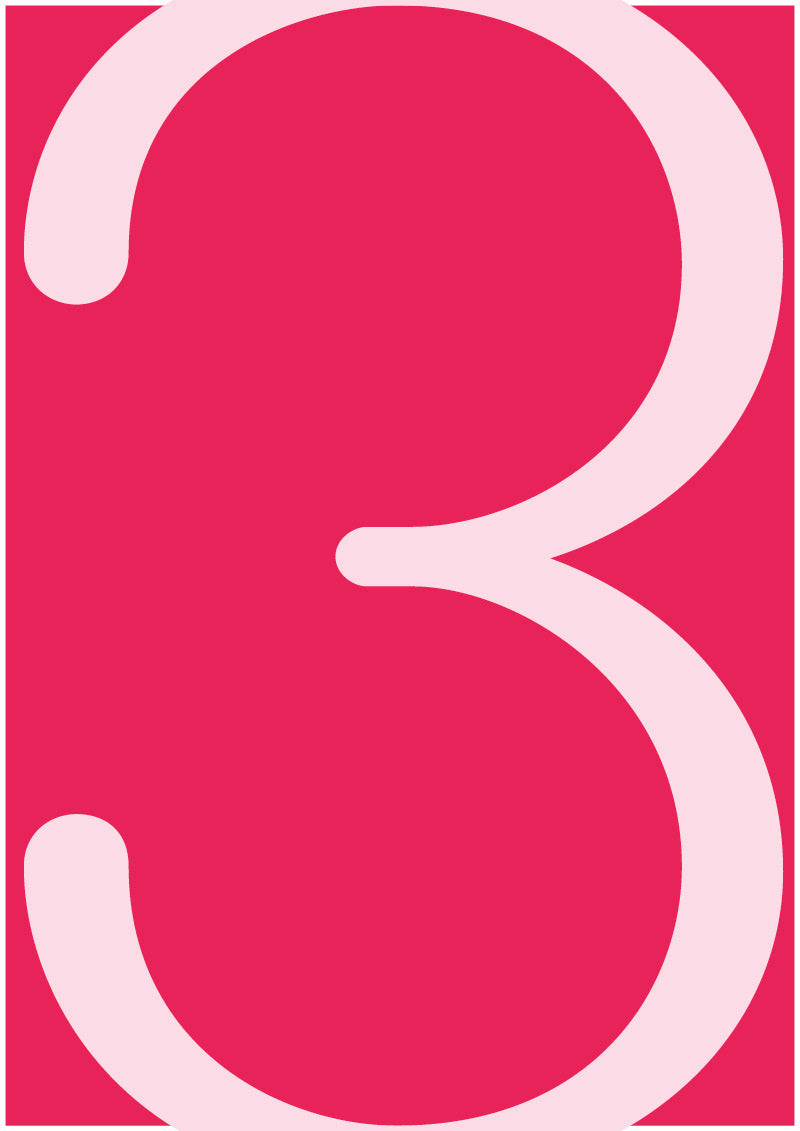 Phloem - 3