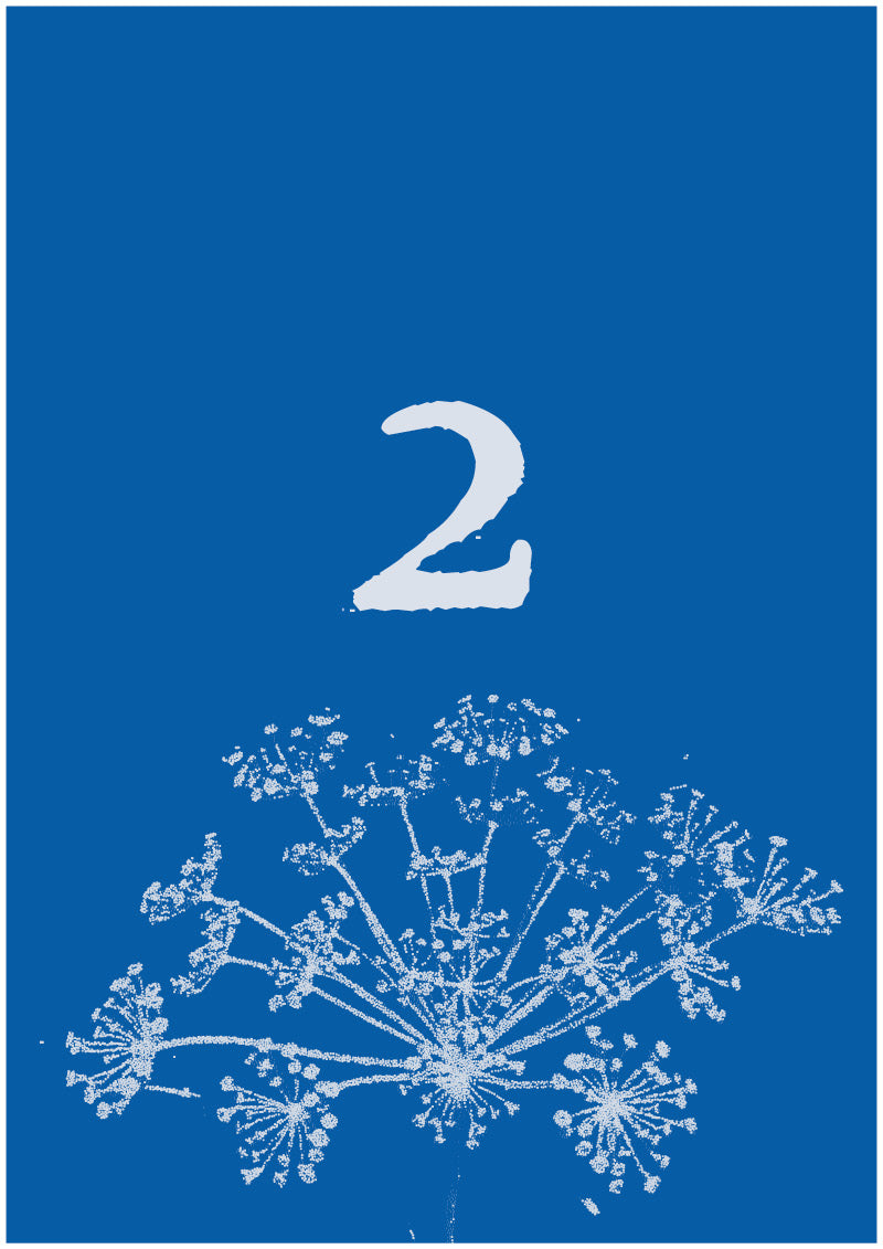 Umbel - 2