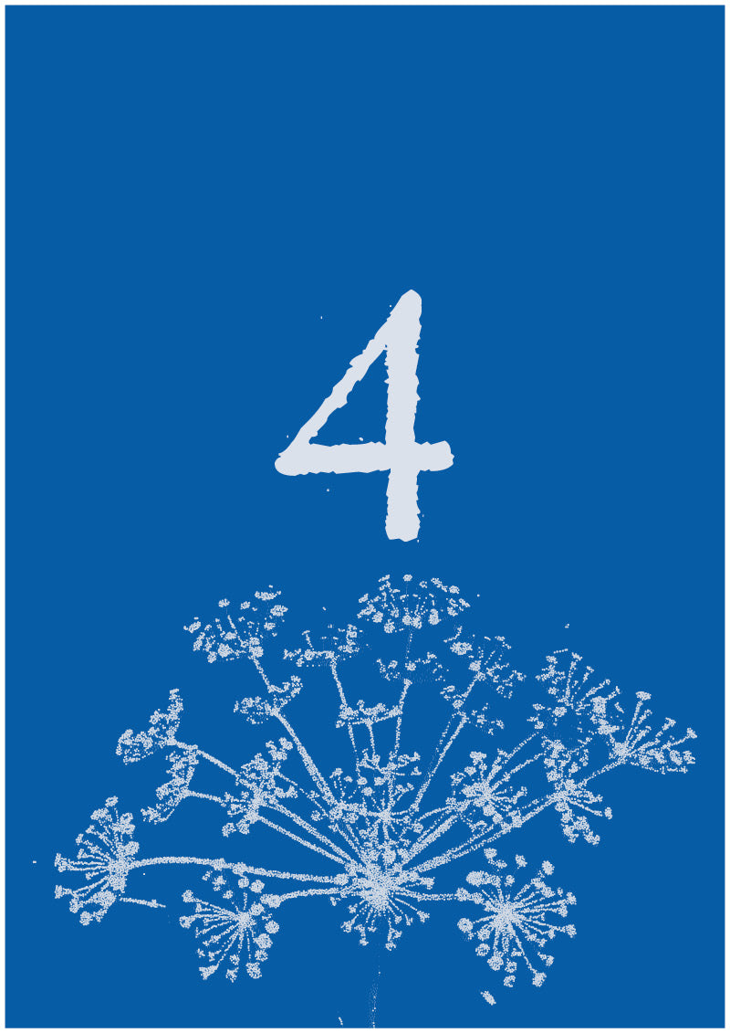 Umbel - 4