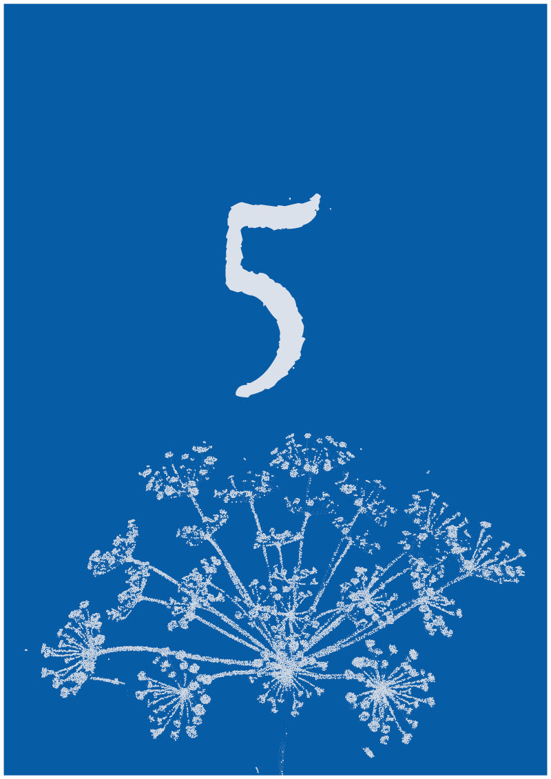 Umbel - 5