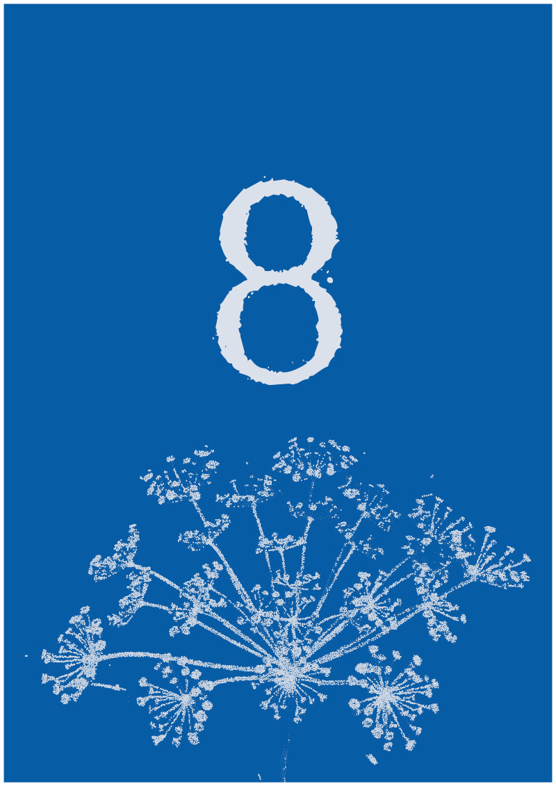 Umbel - 8