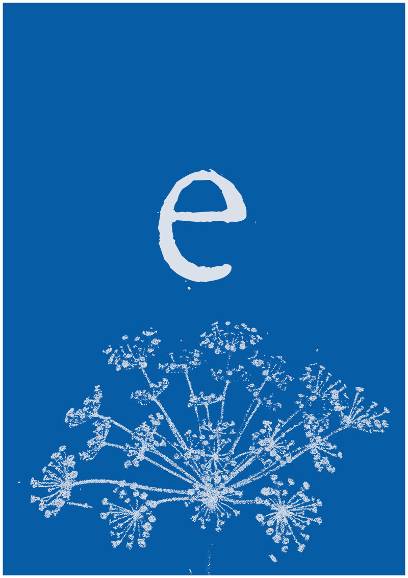 Umbel - E