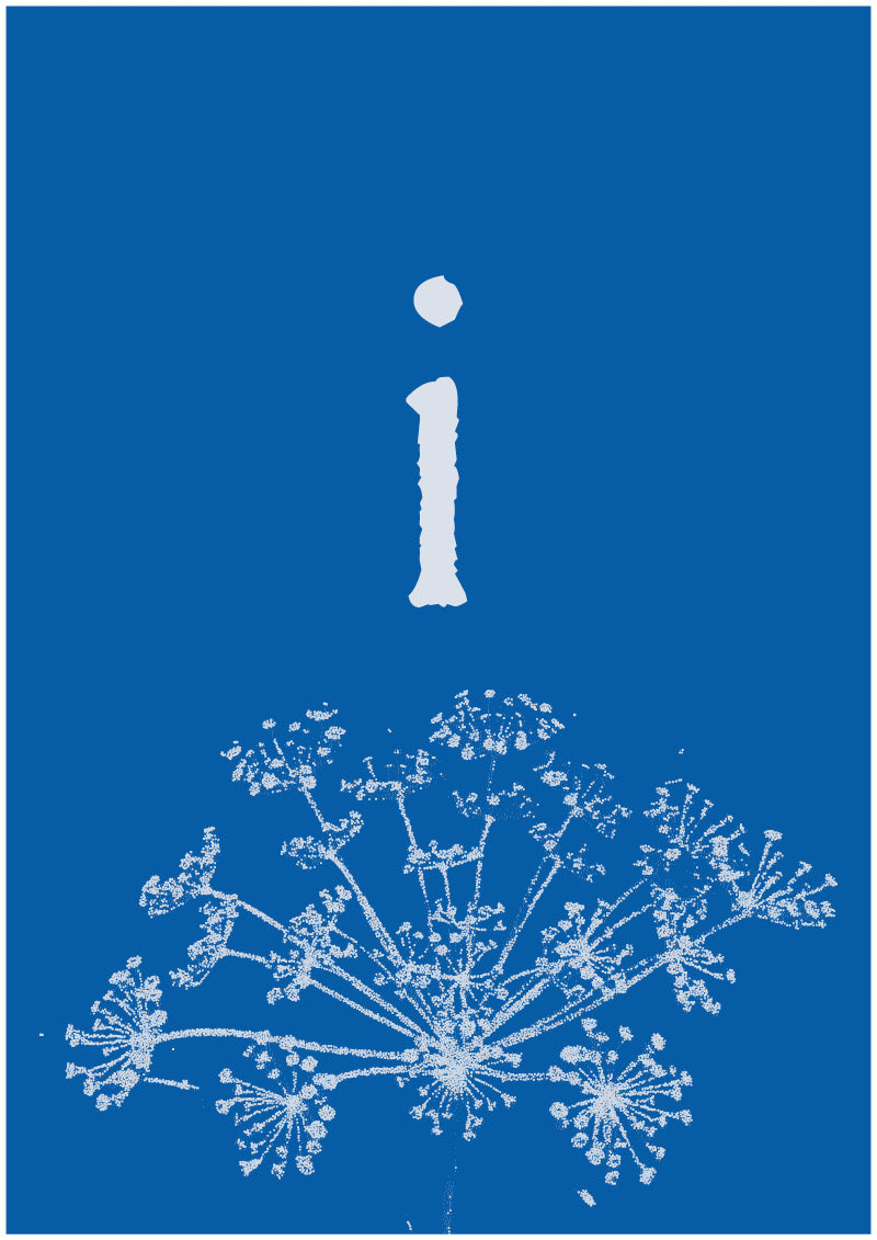 Umbel - I