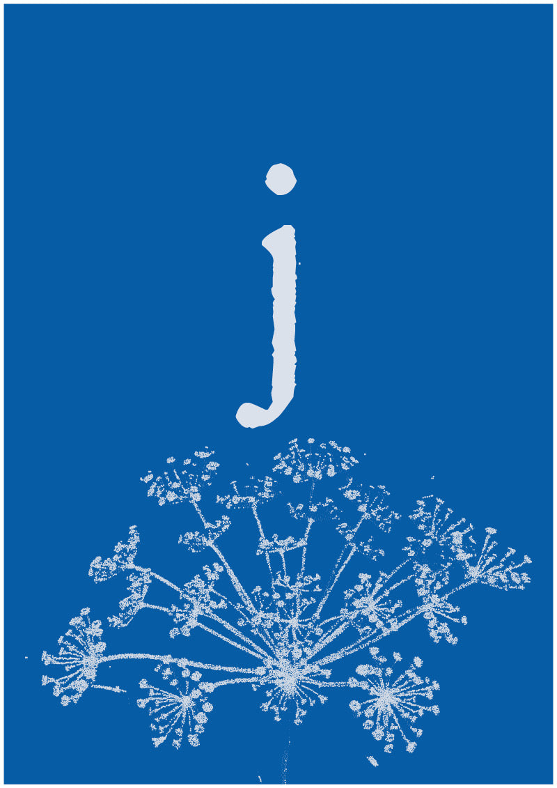 Umbel - J