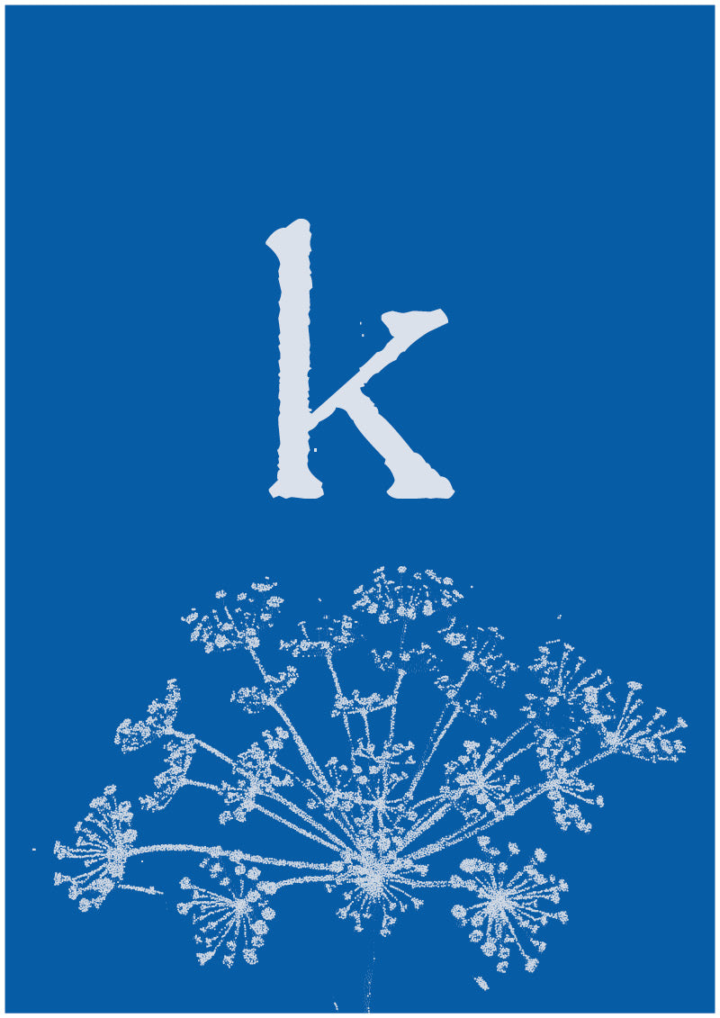 Umbel - K
