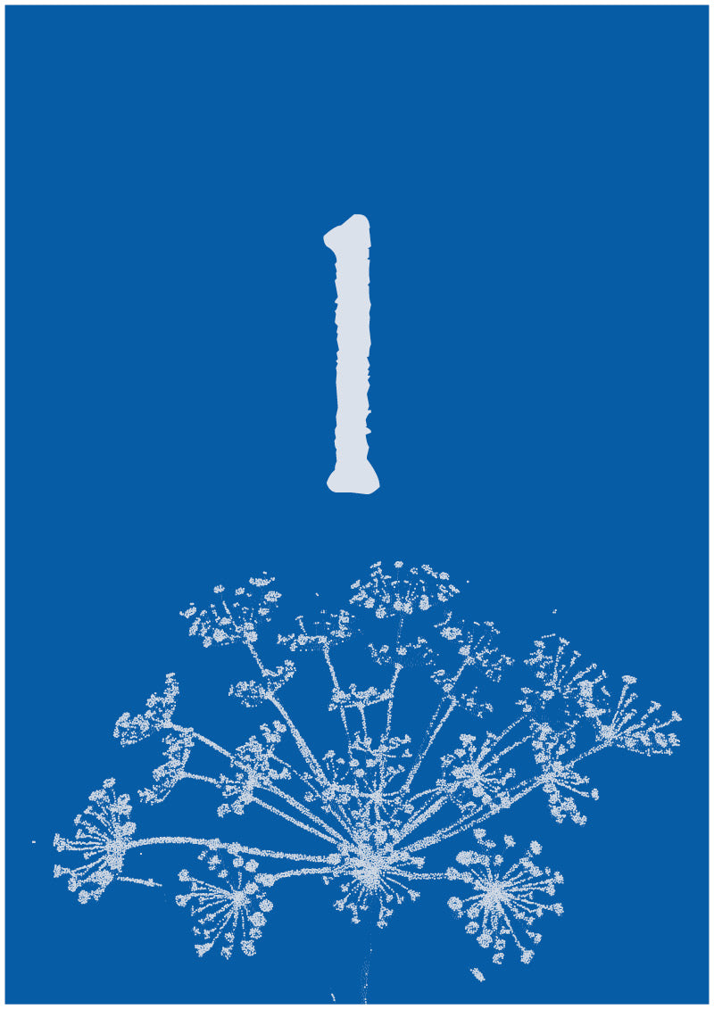 Umbel - L