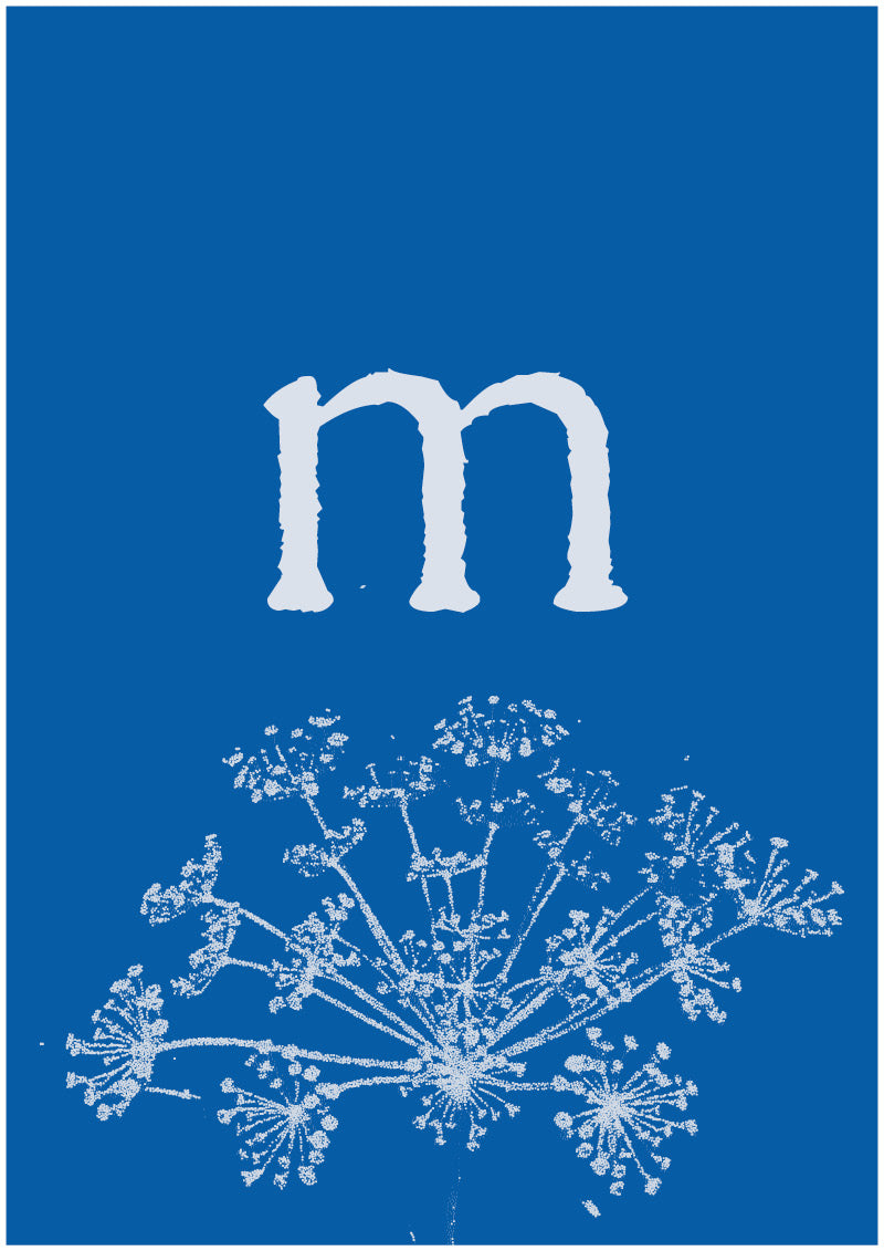 Umbel - M