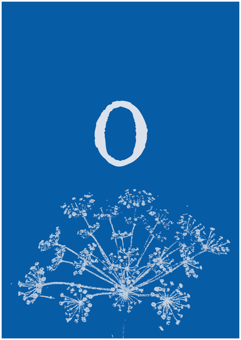 Umbel - O