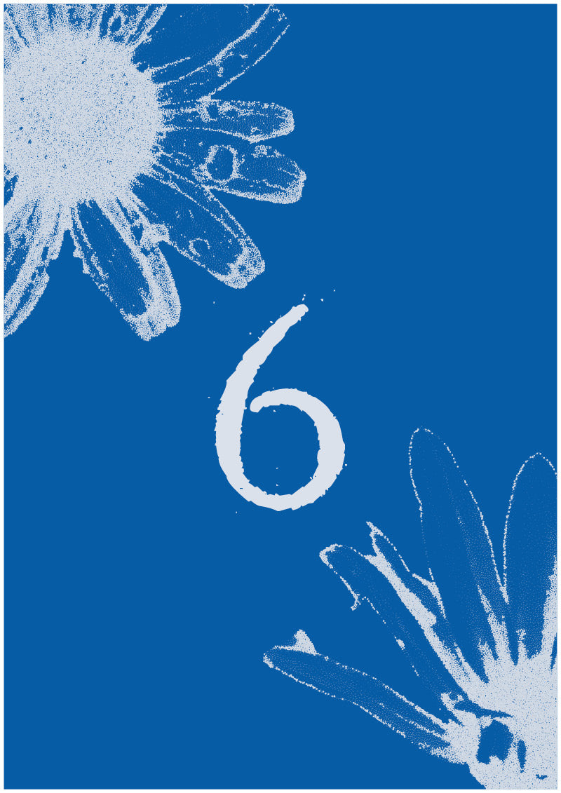 Aster - 6