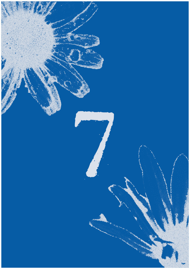 Aster - 7