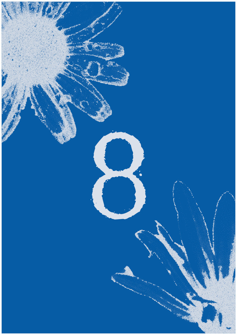 Aster - 8