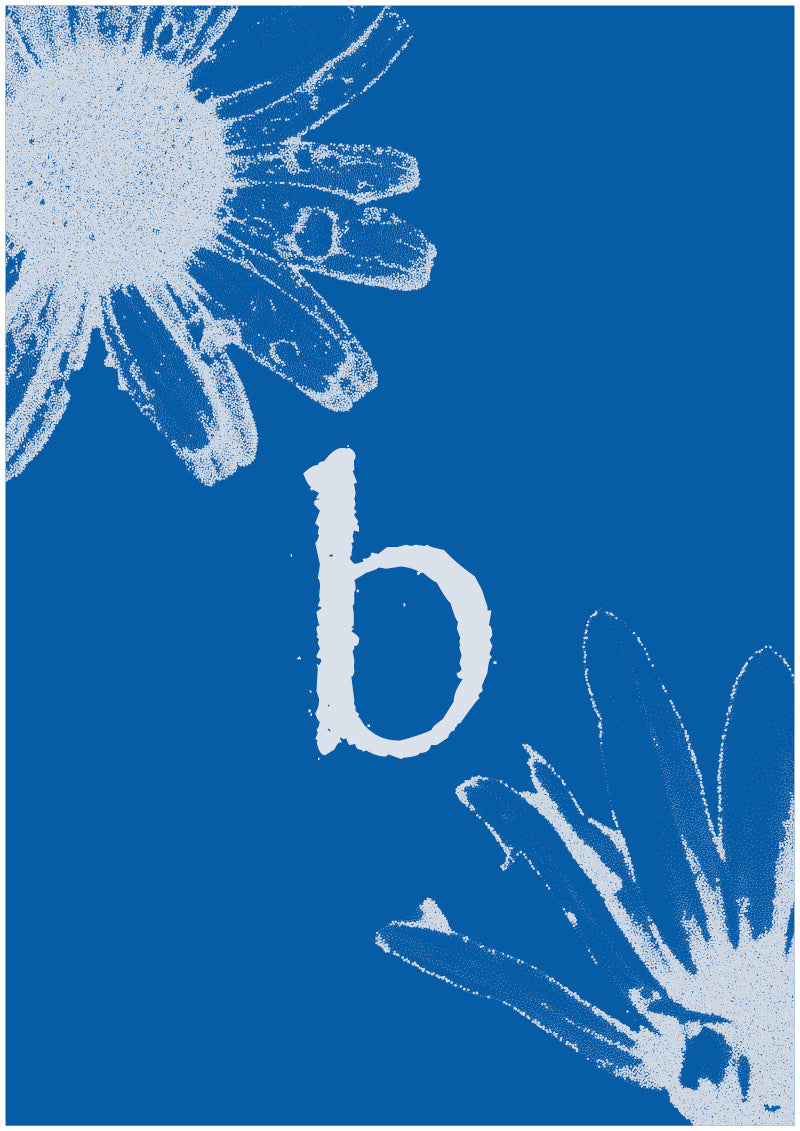 Aster - B