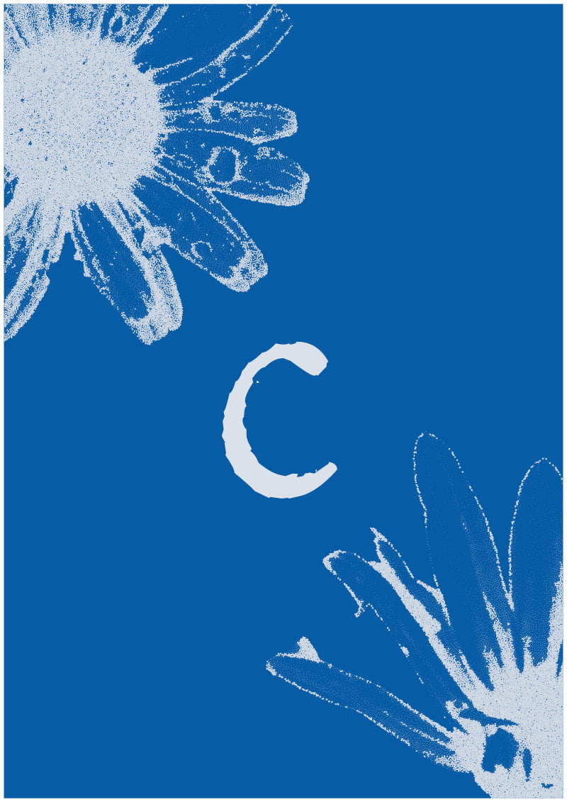 Aster - C