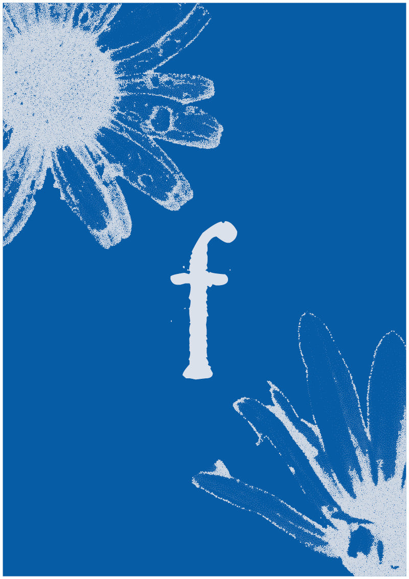 Aster - F