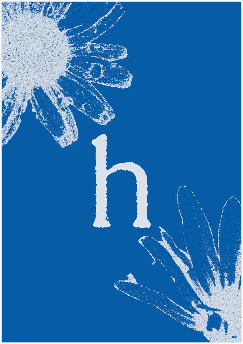 Aster - H