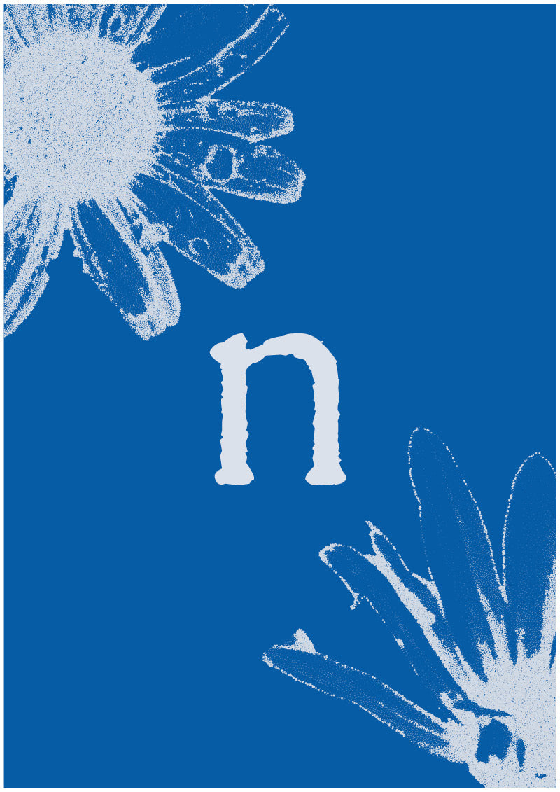 Aster - N