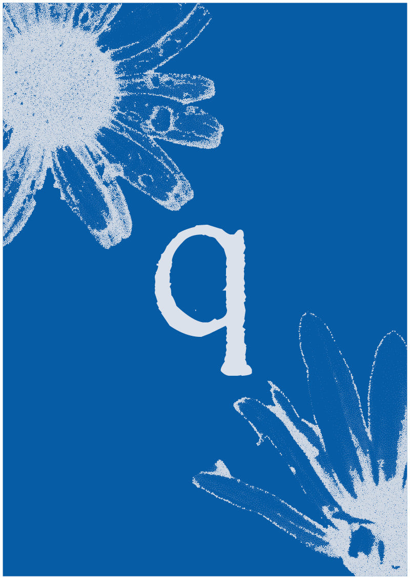 Aster - Q
