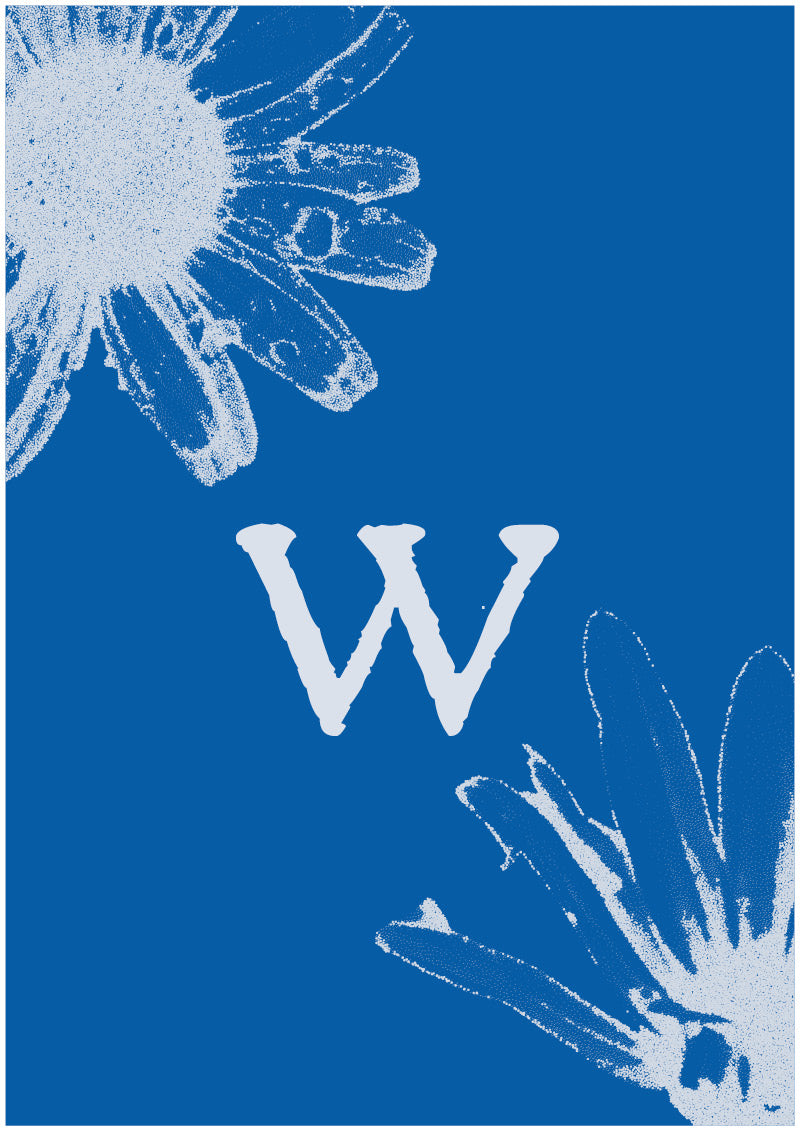 Aster - W