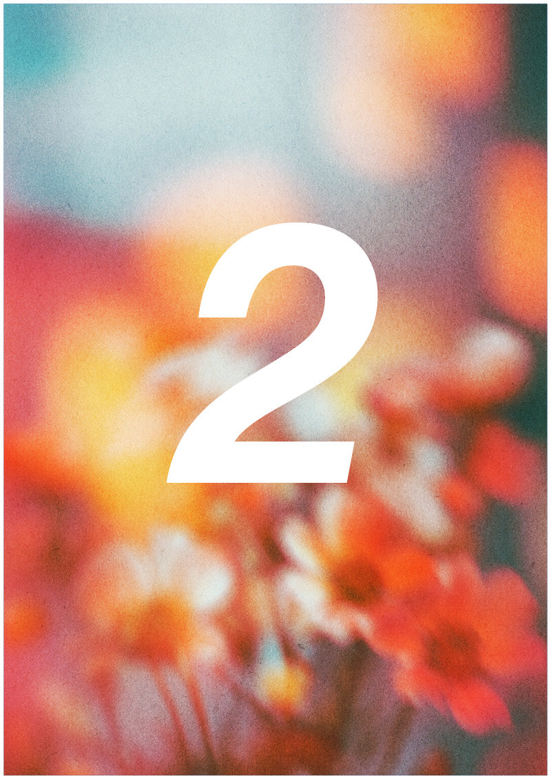 Bloom - 2