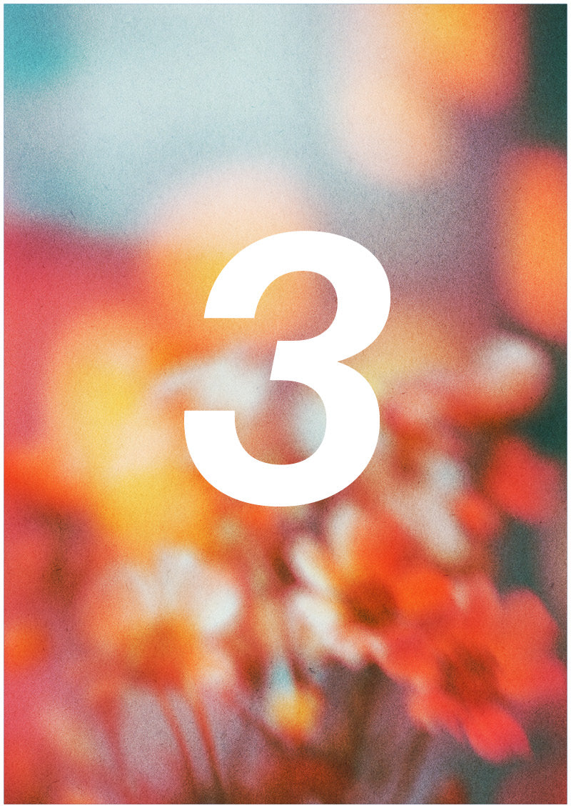 Bloom - 3