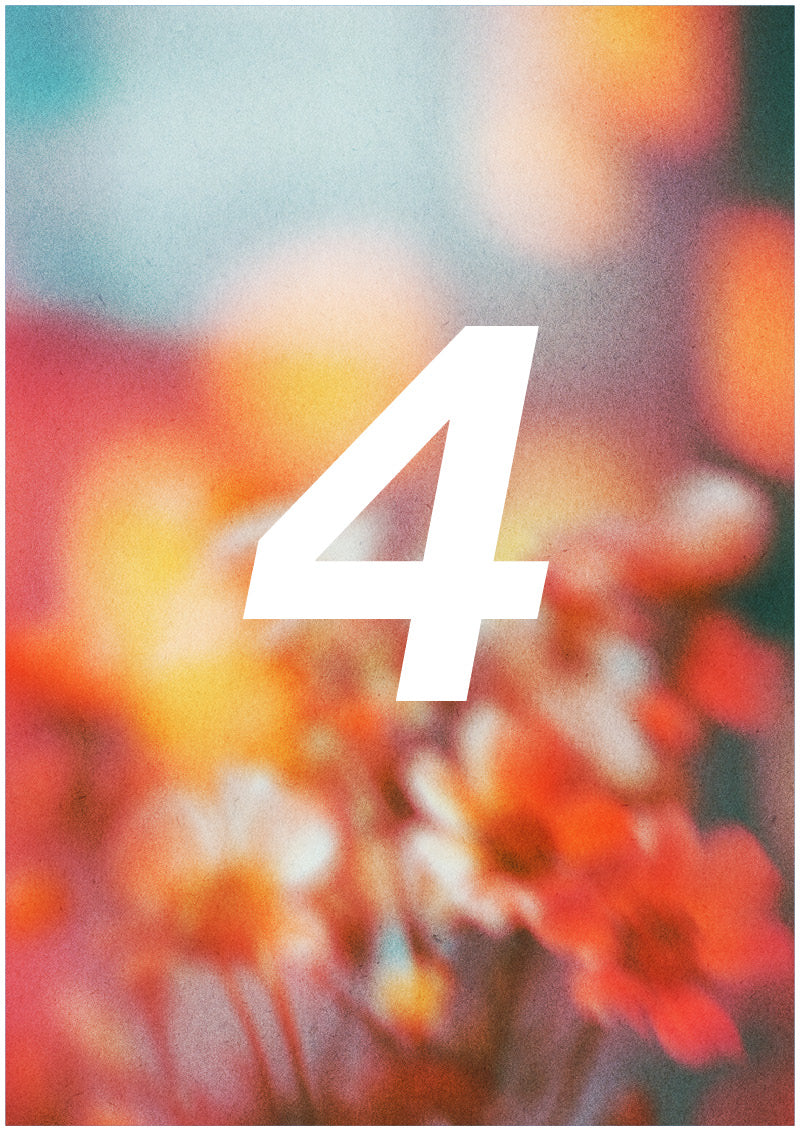 Bloom - 4