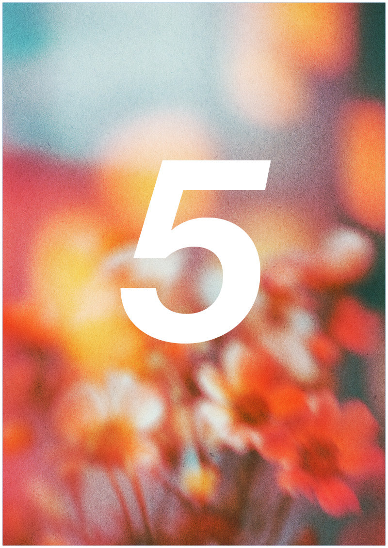 Bloom - 5