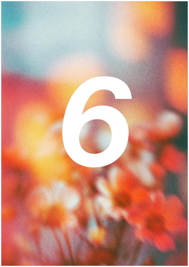 Bloom - 6