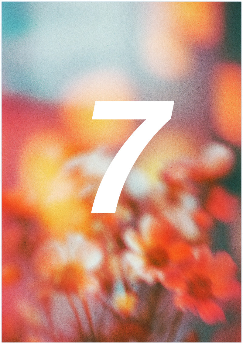 Bloom - 7