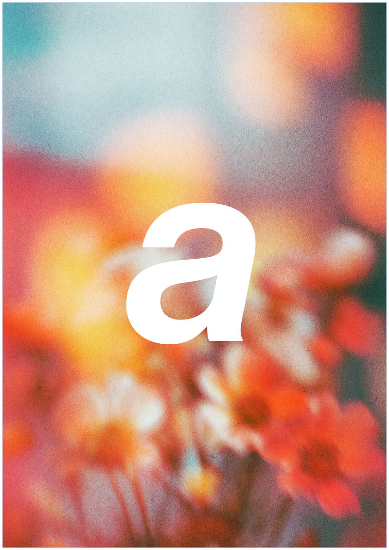 Bloom - A