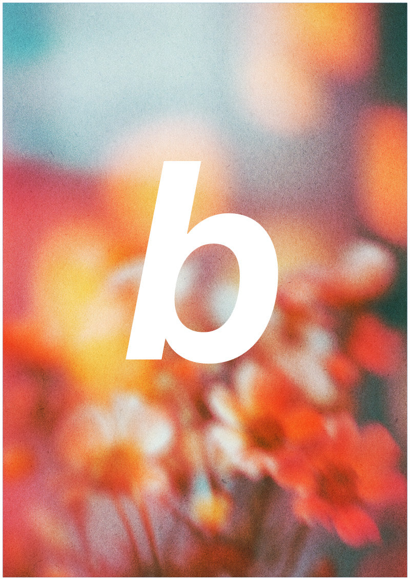 Bloom - B