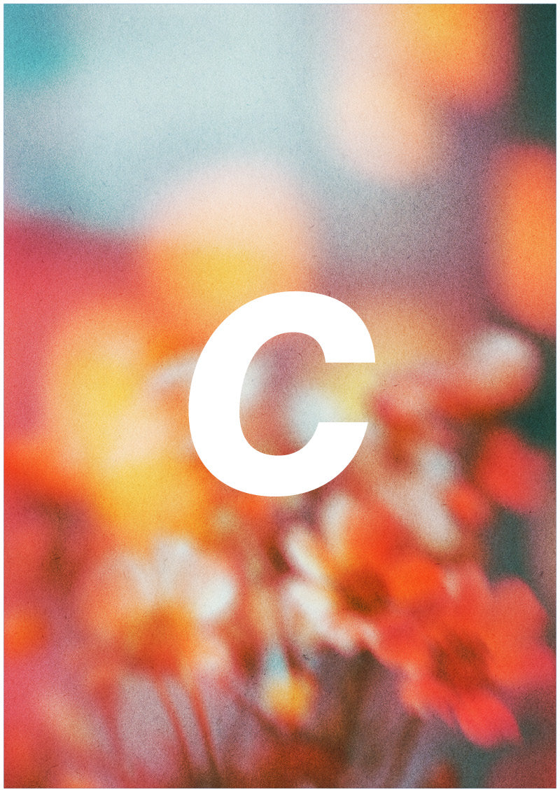 Bloom - C