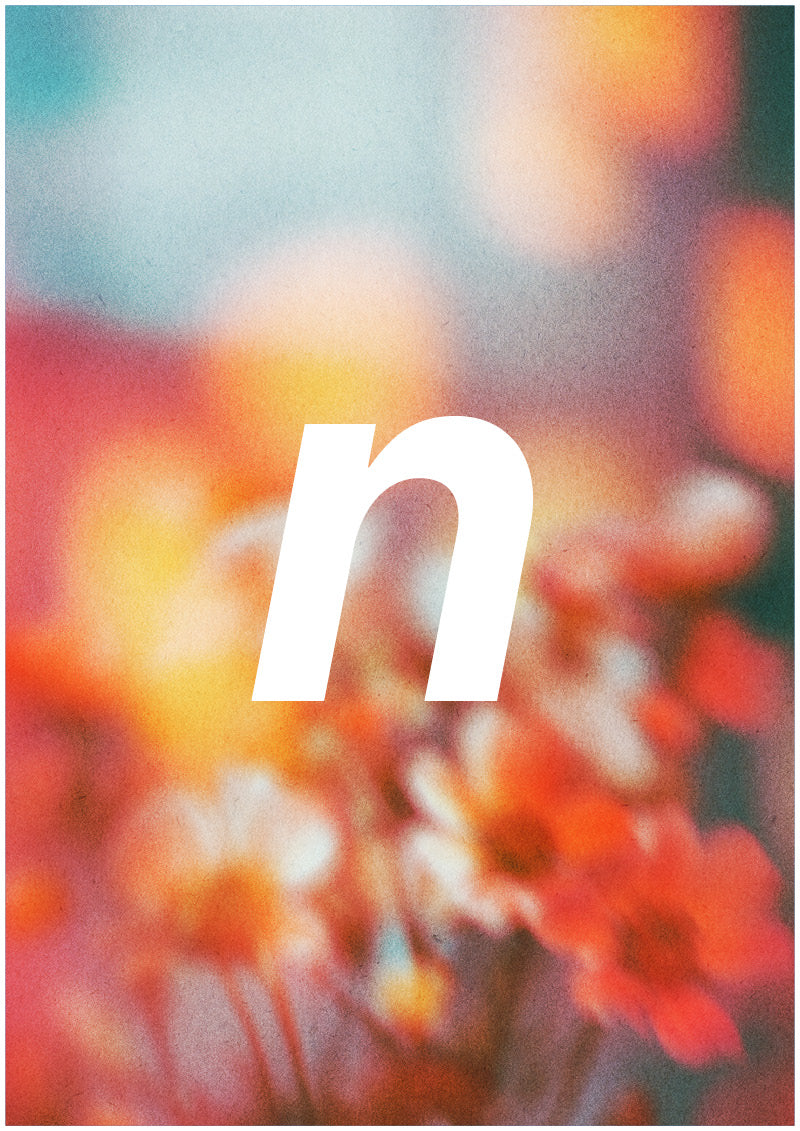 Bloom - N